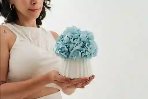 Hortensia Preservada Azul