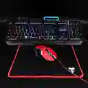 Combo Gamer Rgb 4 En 1