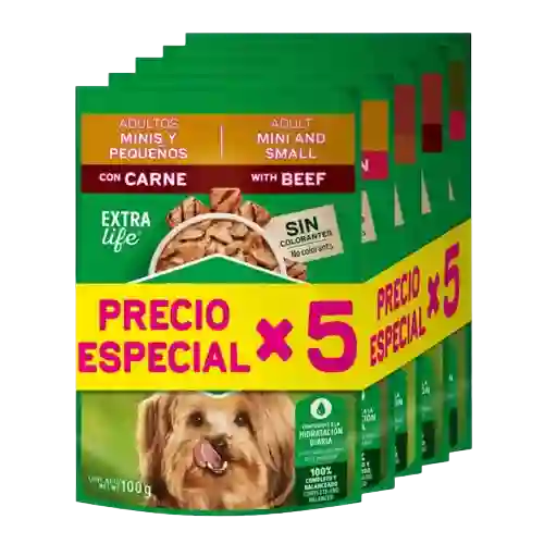 Dog Chow Pack Surtido 5(5x100g)