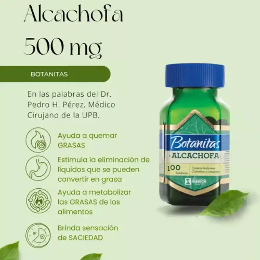 Alcachofa Botanitas