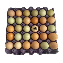 Huevos Criollos Campesinos Cubeta X30 Un Frigonorte