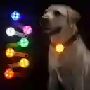 Llavero Led Multiusos Mascotas