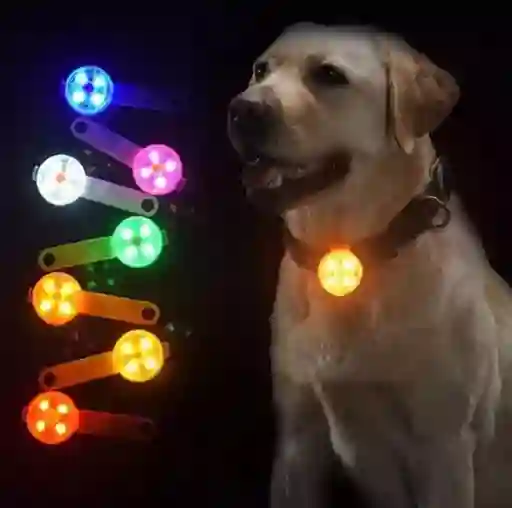 Llavero Led Multiusos Mascotas