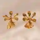 Aretes Orquidea Encyclia Cordigera