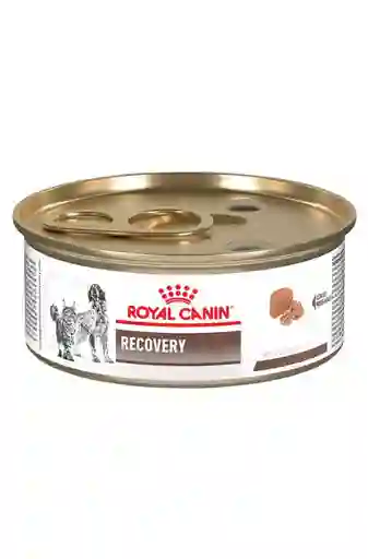Royal Canin Lata Vhn Recovery Wet 145 Grs