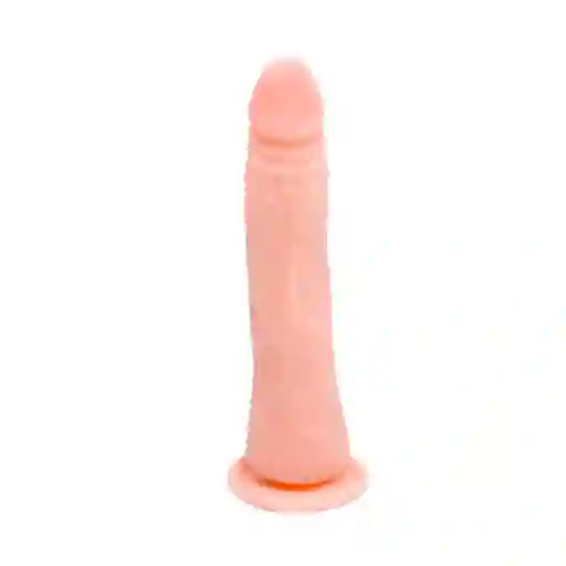 Dildo Realista Maru Piel 20 Cm Camtoyz