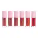 Kit X 6 Labiales Mini Matte Liquid Ref Lml1509