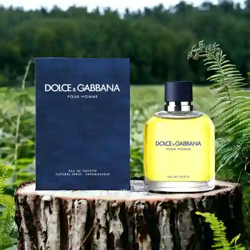 Perfume Dolce Gabbana Para Hombre Edt X 125 Ml Aaa