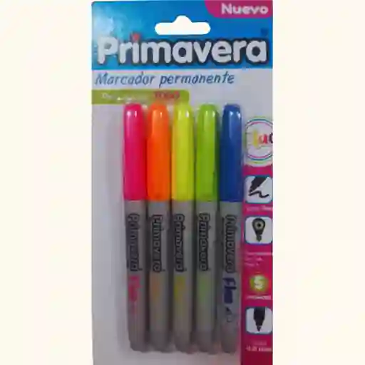 Set Marcadore Punta Fina Permanente Fluorescentes (neon)