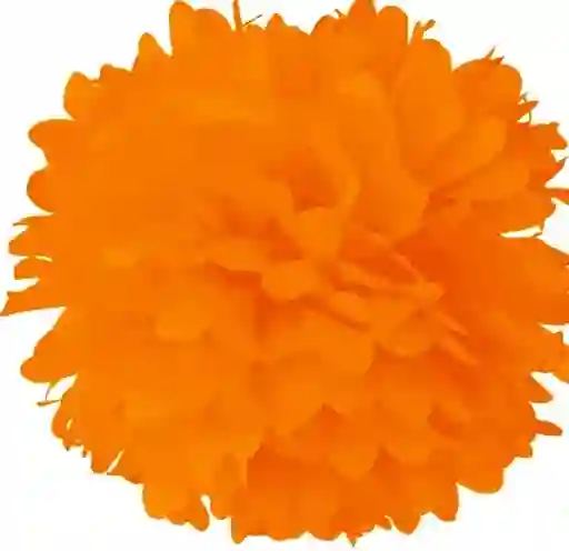 Pompon De Papel Seda Para Fiesta 33 Cm Naranja