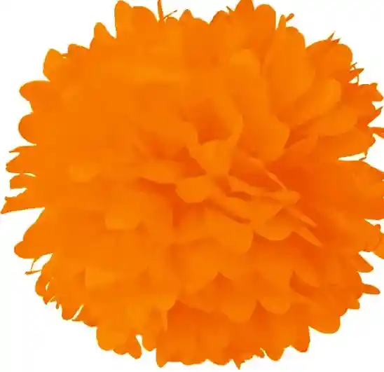 Pompon De Papel Seda Para Fiesta 33 Cm Naranja