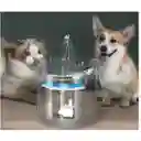 Fuente Transparente De Agua Para Mascotas