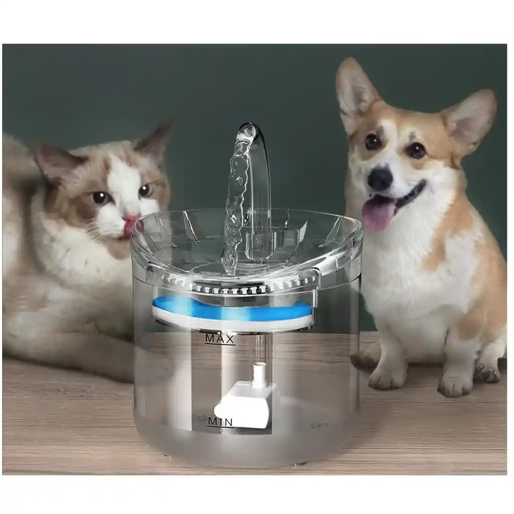 Fuente Transparente De Agua Para Mascotas