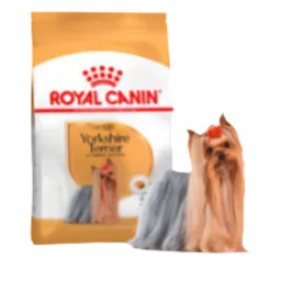 Royal Canin Yorky Adulto X 1,14 Kg