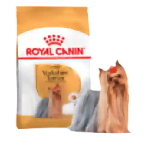 Royal Canin Yorky Adulto X 1,14 Kg