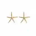Aretes Estrella De Mar Grande Oro