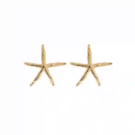 Aretes Estrella De Mar Grande Oro