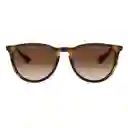 Gafas De Sol Ray Ban Erika Rb4171 865/13 Unisex Marrón Tortuga Degrade 54mm