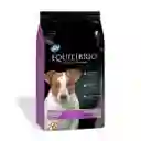 Equilibrio Perros Raza Pequeña 2kg Equilibrio Adulto Raza Pequeña 2 Kg