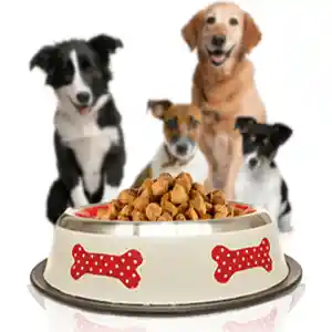 Pet Love Bowl Acero Inoxidable Antideslizante