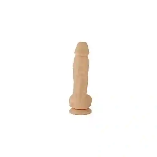 Dildo Realistas Jade 18 Cm Camtoyz