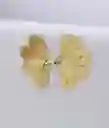 Areta Dorada Mariposa