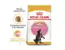 Royal Canin Kitten Maine Cook