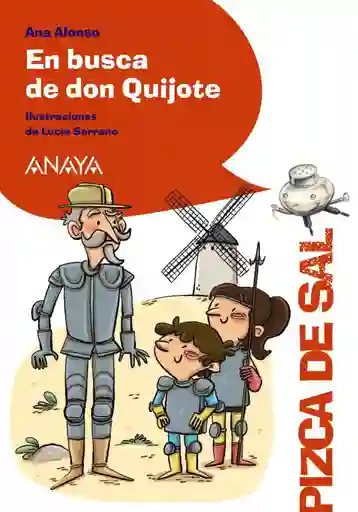 En Busca De Don Quijote