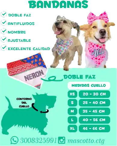 Mascotto - Bandana Doble Faz Ref. (donas Talla M)