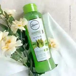 Shampoo Aloe Anyeluz