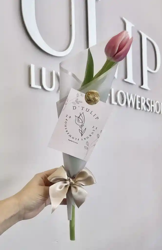 Single D’tulip ( 1 Tulipán)