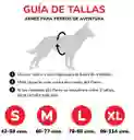 Collar Primavera Para Perro Diseño Snoopy - Talla L