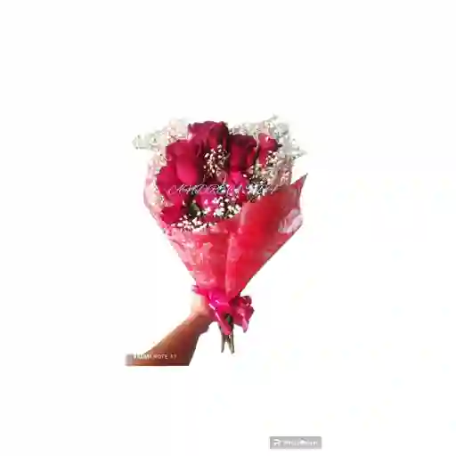 Rosas Escarchadas