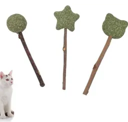 Catnip Toy (formas Surtidas)