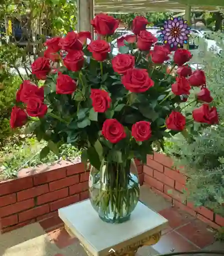 Florero Perfecto