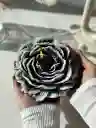 Vela Gigante Flor