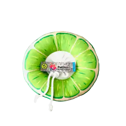 Dona Collar Isabelino Petskin Limon Gato Talla M (4-6kg)