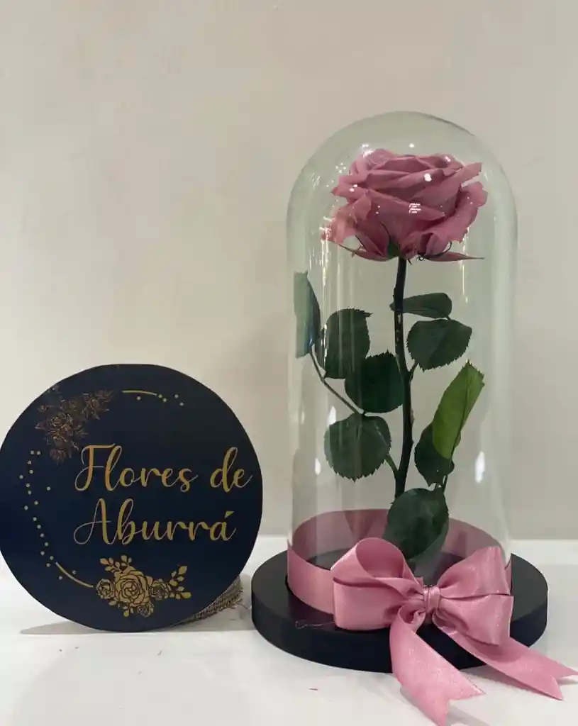 Rosa Preservada Premiun