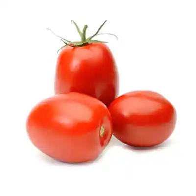 Tomate Chonto