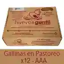 Huevos Campesinos X12-aaa Caja Biodegradable