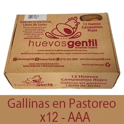 Huevos Campesinos Aaa Caja Biodegradable