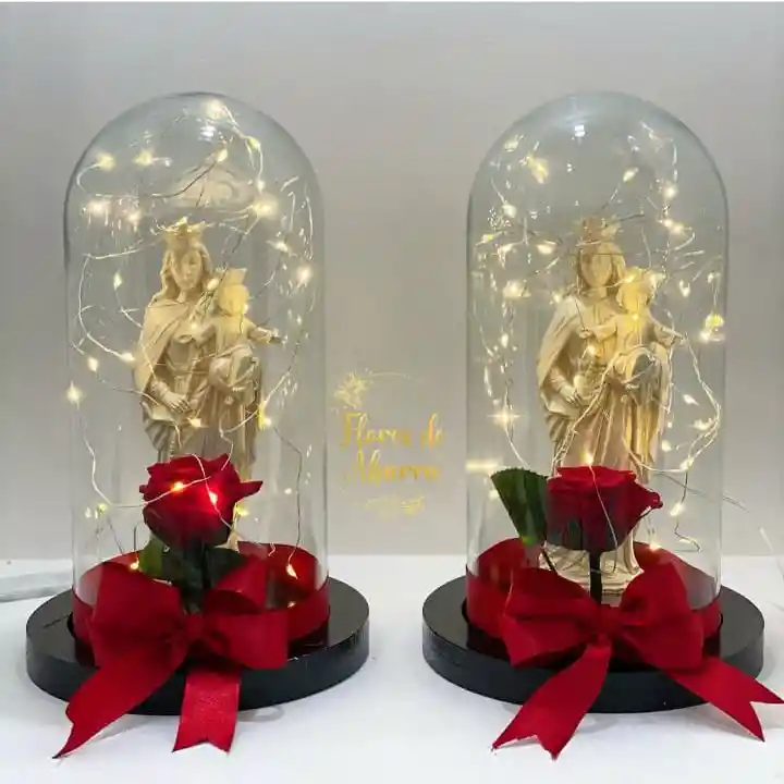 Virgen 20cm Con Rosa Premiun Y Luces