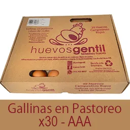 Huevos Campesinos X30-aaa Caja Biodegradable