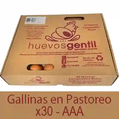 Huevos Campesinos X30-aaa Caja Biodegradable