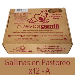 Huevos Campesinos X12-a Caja Biodegradable