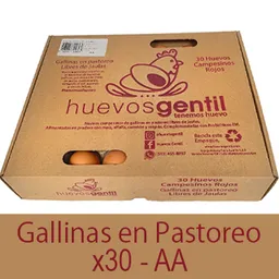 Huevos Campesinos X30-aa Caja Biodegradable