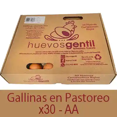 Huevos Campesinos X30-aa Caja Biodegradable