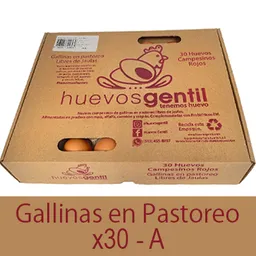 Huevos Campesinos X30-a En Caja Biodegradable