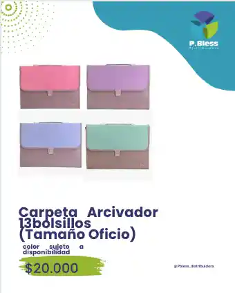 Carpeta Arcivador 13bolsillos (tamaño Oficio)