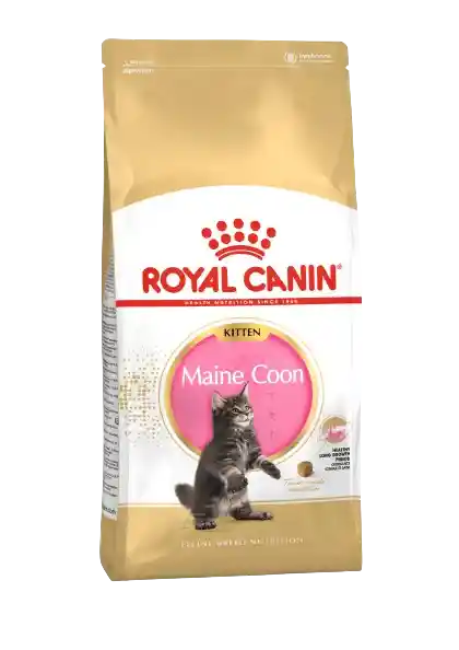 Royal Canin Feline Bn Maine Coon Kitten 2 Kg